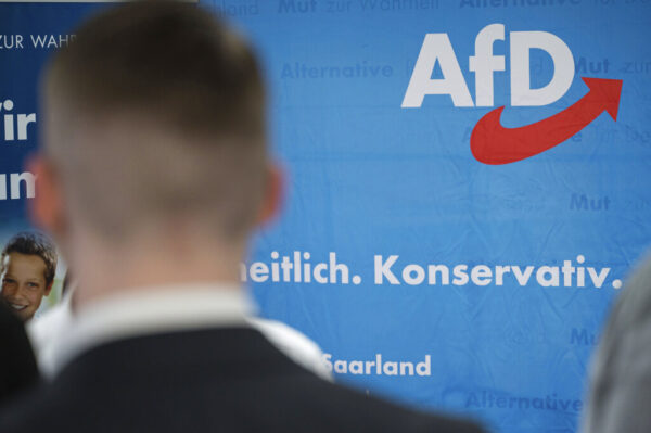 Europee, Afd tratta con gli ungheresi di Mi Hazank per nuovo gruppo