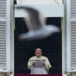 Papa Francesco: “Porre fine all’escalation dei conflitti”