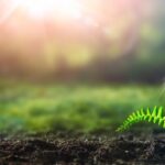 Nasce Biae, la Banca per l’ambiente e l’energia