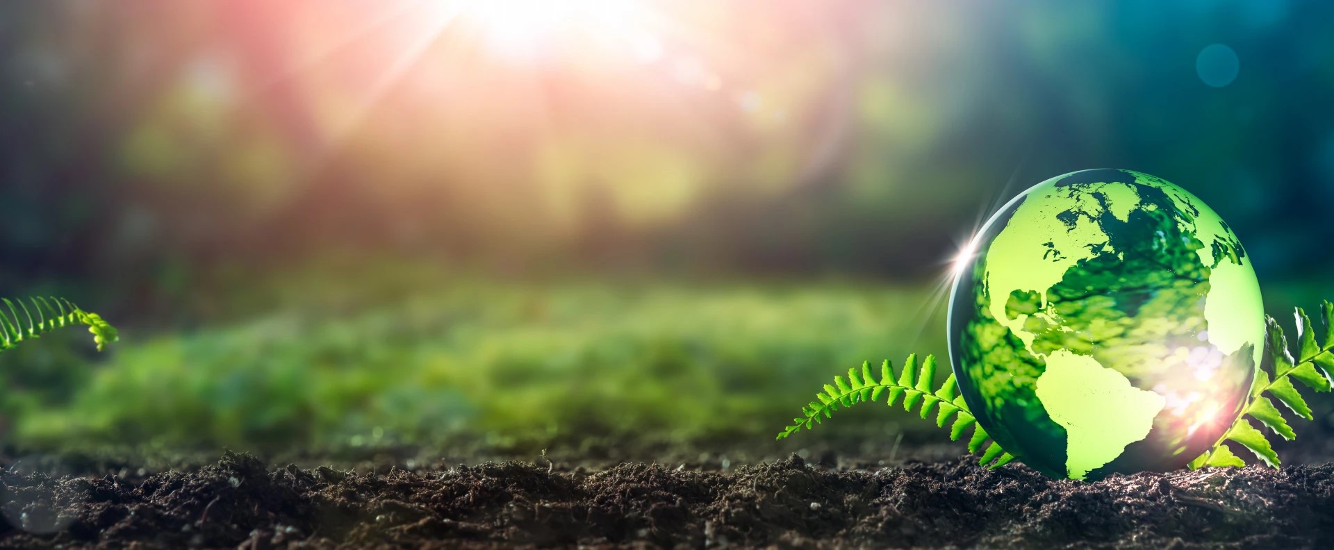 Giornata mondiale Ambiente, dall’energia all’economia: transizione green sempre più sfida globale