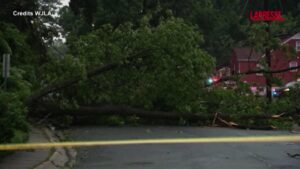 Usa, tornado fa crollare gli alberi sulle abitazioni: cinque feriti