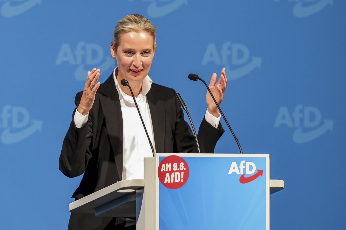 Europee, in Germania l’estrema destra di AfD secondo partito. Crolla l’Spd di Scholz