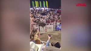 Oregon, toro da rodeo in fuga ferisce tre persone: il salto oltre il recinto verso gli spalti