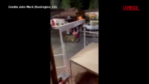 Oregon, toro da rodeo salta recinzione di un’arena e ferisce tre persone