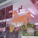 Spagna, la crudele macellazione dei cavalli: il video choc