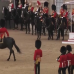 Londra, Re Carlo riceve il saluto dei soldati a Buckingham Palace