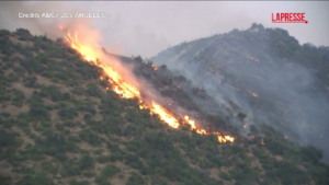 Usa, incendio nella contea di Los Angeles: 1.200 evacuati