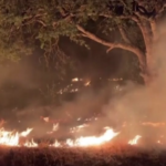 California, incendi devastano la contea di Calaveras