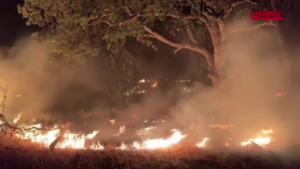 California, incendi devastano la contea di Calaveras