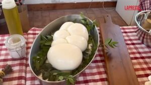 Cibo, Mozzarella di Bufala DOP vince sfida dei consumi in Francia