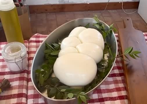Cibo, Mozzarella di Bufala DOP vince sfida dei consumi in Francia