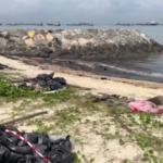 Singapore, spiagge ripulite dopo la perdita di petrolio che ha annerito la costa