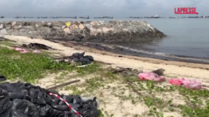 Singapore, spiagge ripulite dopo la perdita di petrolio che ha annerito la costa