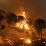 Turchia, cinque morti e 44 feriti per gli incendi