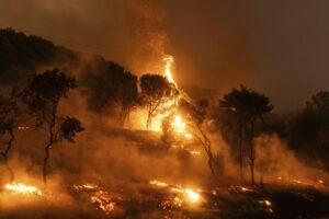 Turchia, cinque morti e 44 feriti per gli incendi