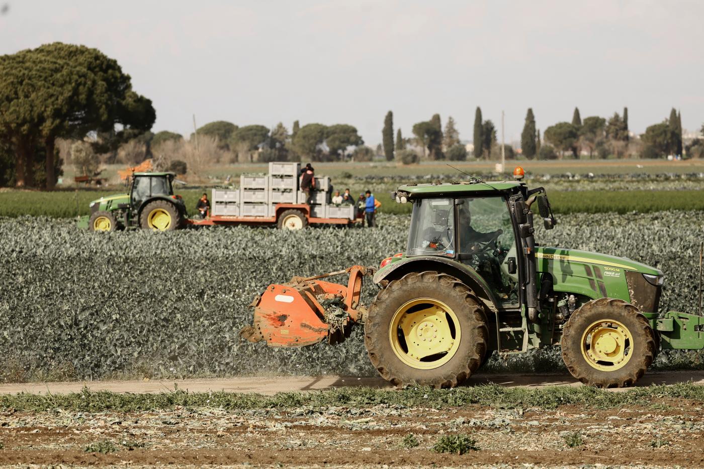 Lavoro, controlli Gdf: scoperti circa 60mila lavoratori in nero