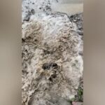 Maltempo a Reggio Emilia, strada chiusa a Toano