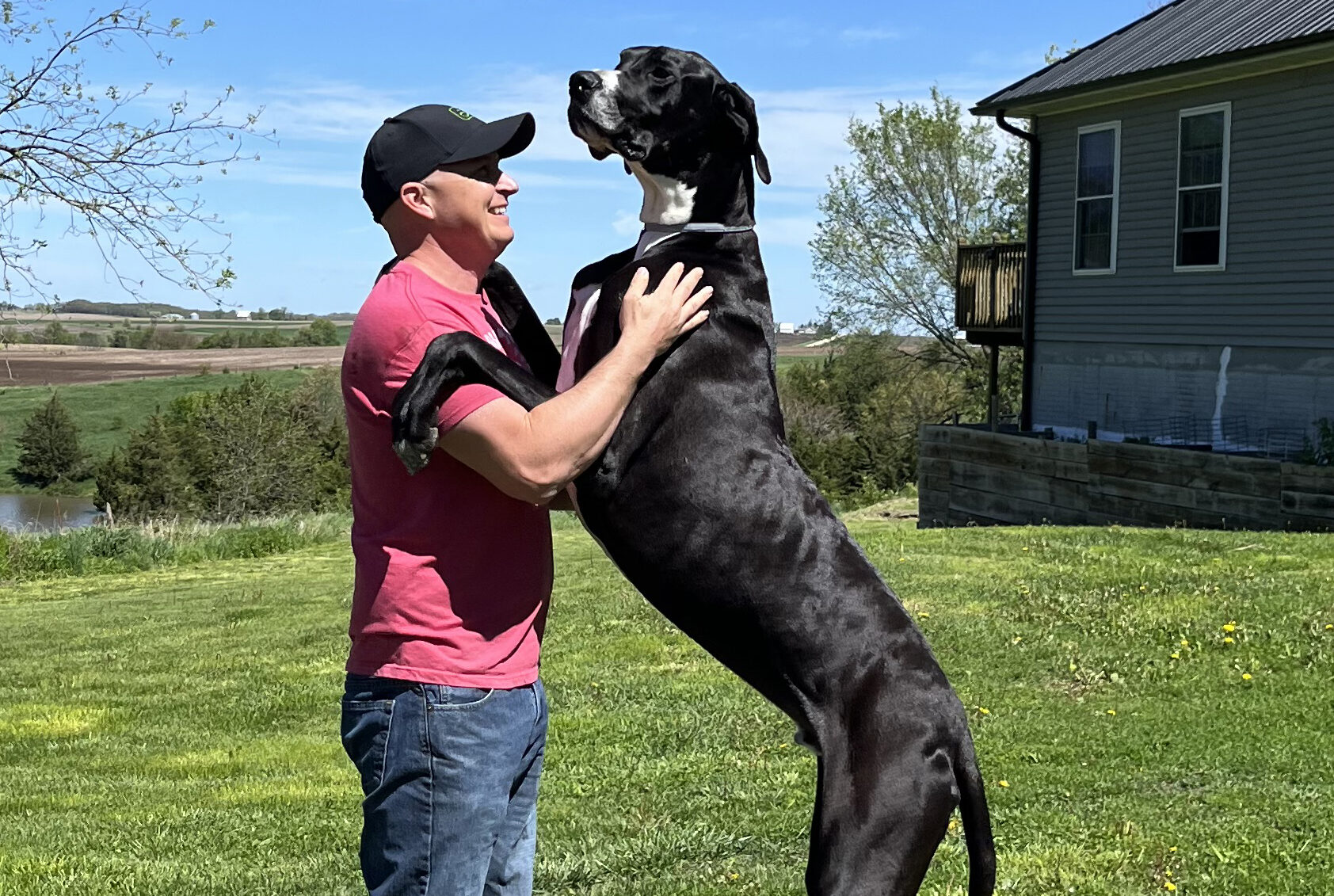 Usa, è morto il cane più alto del mondo: in piedi misurava 2,13 metri