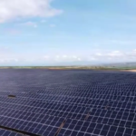 Tg Green 27 giugno – Le rinnovabili coprono metà della luce che consumiamo