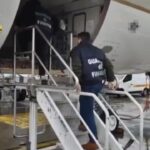 Malpensa, sequestrate 6 tonnellate di ingredienti per mdma