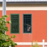 Carceri, uccise la moglie a Potenza: 81enne si suicida in cella