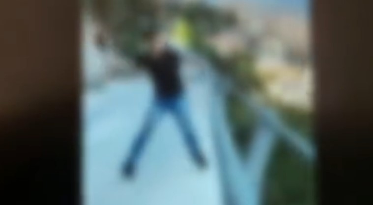 Sardegna, gattino lanciato dal ponte: denunciati 14enne e 17enne