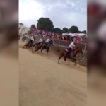 Cagliari, grave incidente alla corsa dei cavalli Ardia di Sedilo: le immagini