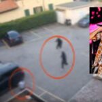 Shiva, trapper condannato a 6 anni e mezzo per tentato omicidio