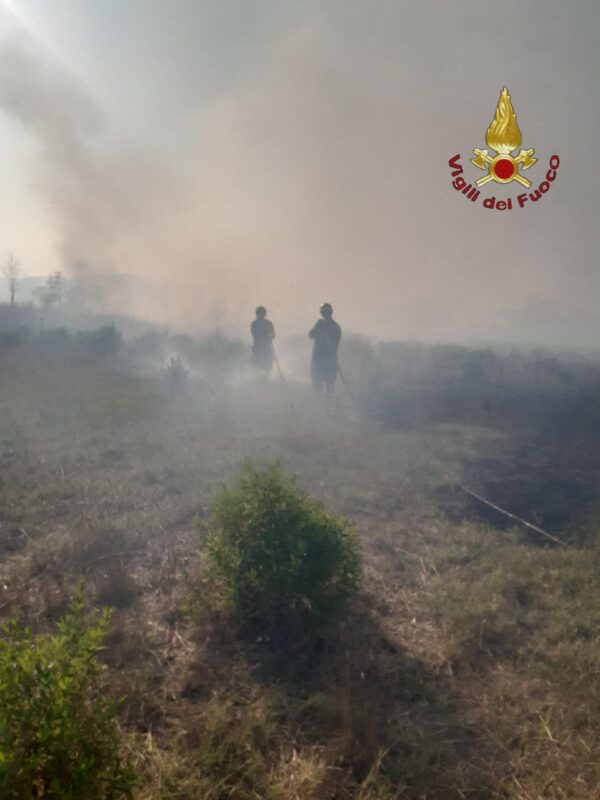 Roma, incendio in zona Casal Lumbroso: due capannoni coinvolti, evacuati residenti