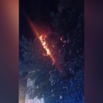 Francia, incendio in condominio a Nizza: sette morti