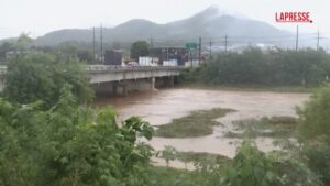 Corea del Sud, le piogge monsoniche provocano allagamenti