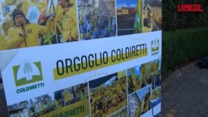 Agricoltura, Prandini: “Proposta italiana vuole aumentare produttività in Europa”