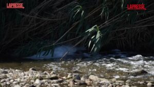 Barcellona, ammoniaca nel fiume Besòs: a rischio il Parco Fluviale