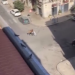 Palermo, ruba una panchina e la porta via con il suo scooter
