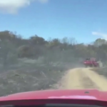 Nuoro, incendi tra Orani e Orotelli: l’intervento dei vigili del fuoco