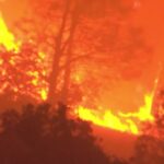 Incendi in California, bruciati dalle fiamme quasi 200 km quadrati