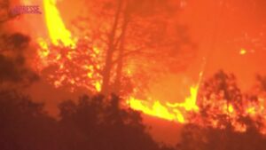 Incendi in California, bruciati dalle fiamme quasi 200 km quadrati