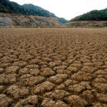 Siccità, Anbi: “Niente acqua per agricoltura al Centro-Sud”