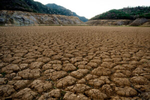 Siccità, Anbi: “Niente acqua per agricoltura al Centro-Sud”