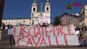 Roma, flash mob animalista in Piazza di Spagna: “Lasciate in pace i cavalli”