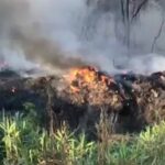 Roma, incendio a Ponte Mammolo: evacuate 40 persone