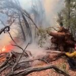 California, migliaia di vigili impegnati contro incendi selvaggi