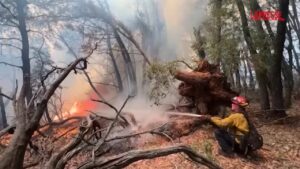 California, migliaia di vigili impegnati contro incendi selvaggi