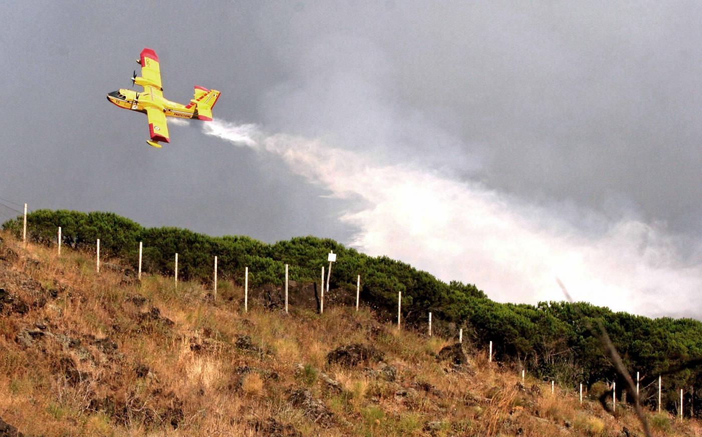 Napoli, in fiamme macchia mediterranea sul Vesuvio
