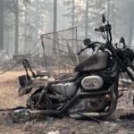 California, la devastazione lasciata dall’incendio Park Fire