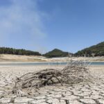 Siccità, Sardegna verso lo stato di calamità
