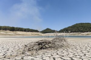 Siccità, Sardegna verso lo stato di calamità