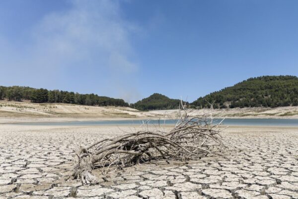 Siccità, Sardegna verso lo stato di calamità