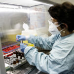 Chikungunya, sintomi e origine: tutto sulla malattia trasmessa dalle zanzare