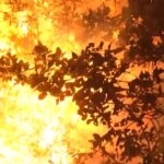 Croazia, le coste dalmate colpite dagli incendi: evacuati i turisti